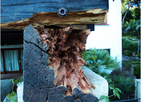 Consolidación de madera