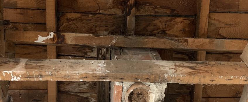 Diagnosis de la madera en Alcudia de Carlet